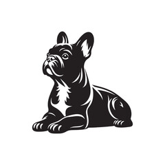French Bulldog Silhouette: Elegant Canine Profile Design in Vector Illustration- French Bulldog Black Vector stock