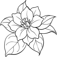 Exquisite Jasmine Flower Vector Art Elevate Your Designs with Stunning Floral Graphics