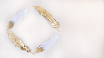 Golden and White Feathers in Round Shape on Blank Background