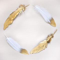Golden and White Feathers in Round Shape with Copy Space