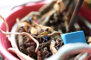 Miniature people camping in a flower pot.
