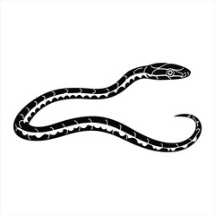 Obraz premium Garter Snake Silhouette