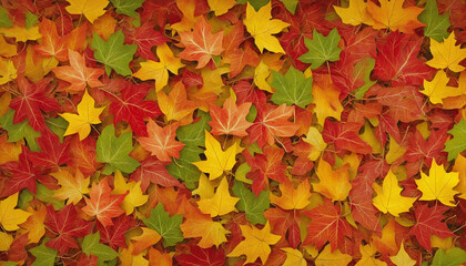 Naklejka na ściany i meble autumn leaves background colorful background