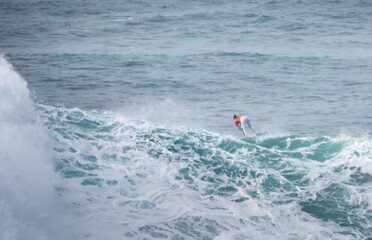 surfing the wave