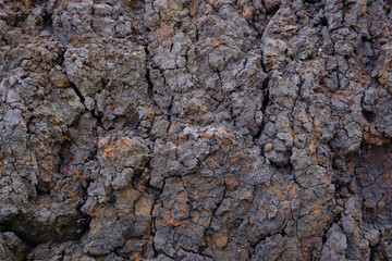 Texture of cracks in dry soil