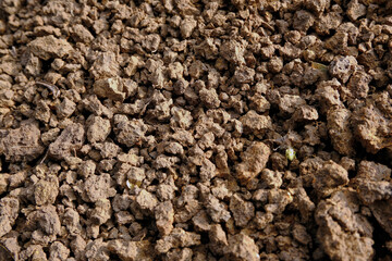 Dry soil forms a pattern resembling gravel