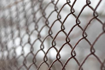 Naklejka premium Close up view of frozen lattice fence