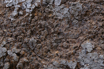Unique dry soil texture