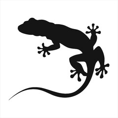 Obraz premium Leopard Gecko Silhouette