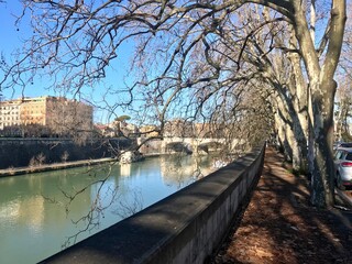 walking the streets of rome