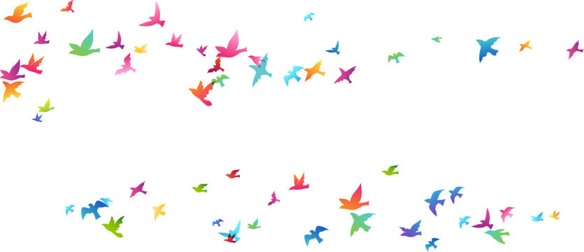 Flying birds. Decoration element from scattered silhouettes.