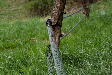 electric wire Sheppard for protection of domestic animals