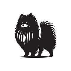 Pomeranian Dog Silhouette: Small Breed Profile Outline Art for Canine Lovers- Pomeranian black vector stock.