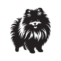 Pomeranian Dog Silhouette: Small Breed Profile Outline Art for Canine Lovers- Pomeranian black vector stock.