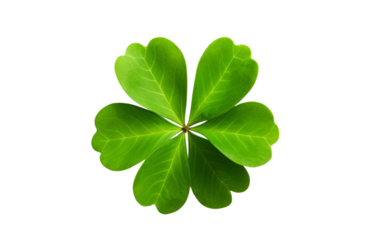Four Leaf Clover on White Background. On a White or Clear Surface PNG Transparent Background..