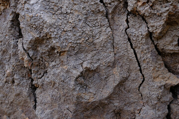 Dry soil forms unique patterns