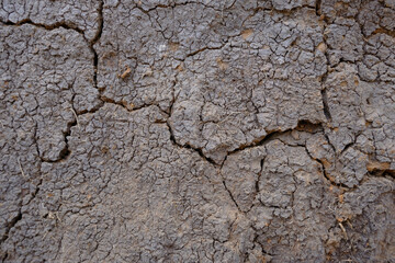 The barren dry land is cracked