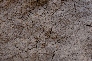 Dry soil texture with cracked pattern