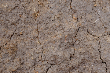 Cracked dry ground background