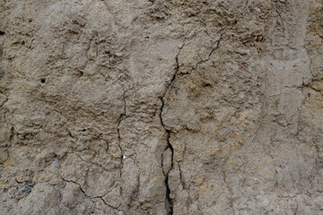 Cracks in dry ground