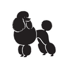 Poodle Silhouette: Elegant Canine Profile in Minimalist Design for Creative Projects- Poodle black vector stock