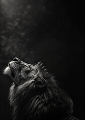 Majestic lion wearing crown in black and white