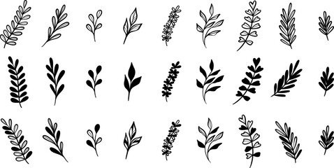 Cute leaf doodle set, vector illustration, modern isolated clip art element collection