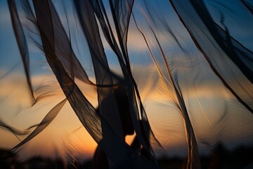 silhouette of a person through the fabric of a mosquito net at sunset