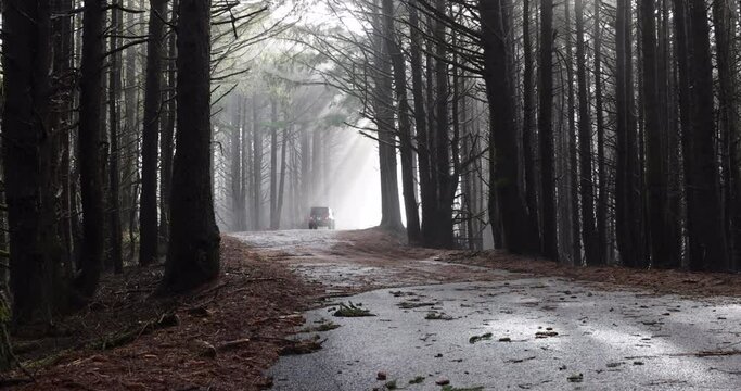 A jeep is driving down a road in a forest. The road is wet and muddy, and the trees are tall and dark. Scene is eerie and mysterious, as the jeep is the only vehicle on the road