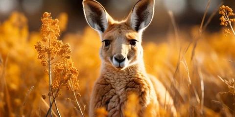 Rolgordijnen Visualize a kangaroo family grazing peacefully in a grassy meadow, their synchronized movements © krishnendu