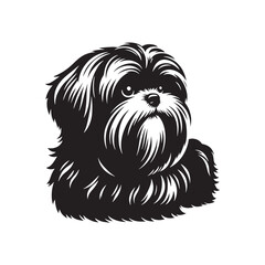 Graceful Shih Tzu Dog Silhouette: Elegant Canine Profile in Vector Format- Shih Tzu Black vector stock.