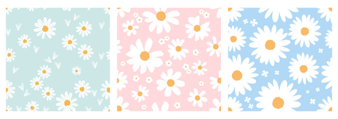 Seamless patterns with white daisy chamomile flower on green, pink and blue backgrounds vector. Cute floral print.