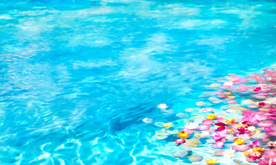 Fototapeta na wymiar 鮮やかでカラフルな花を浮かべた青い水面の背景