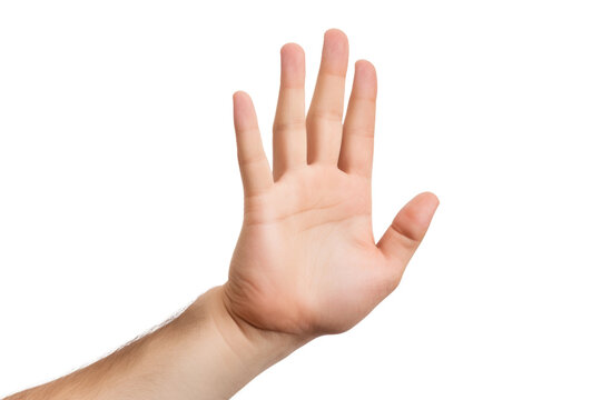 Hand Reaching Up Into the Air. On a White or Clear Surface PNG Transparent Background..