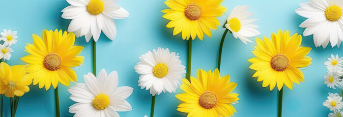 Floral banner with spring flowers on blue background with space for text
