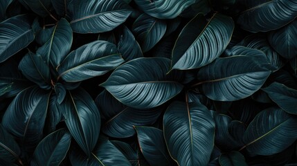 Tropical Plant Dark Foliage Texture