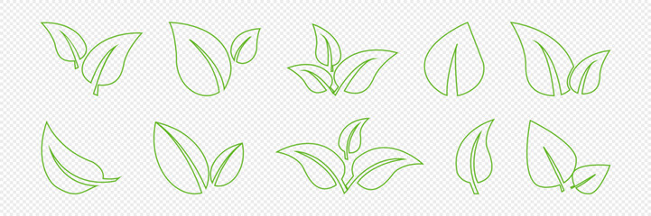 Set of isolated green leaf icons on white background. Abstract natural leaf icons. Elements. Vector illustration.