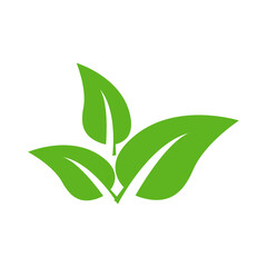 Set of isolated green leaf icons on white background. Abstract natural leaf icons. Elements. Vector illustration.