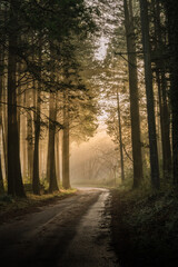 Obraz premium 茨城県笠間市 朝靄に浮かぶ田園の朝