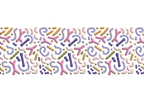 3d render Microbiome seamless border. Probiotic bacteria print with colorful lactobacillus, bifidobacteria, acidophilus. Volume biology illustration. - Powered by Adobe