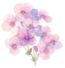 Watercolor illustration of a purple flower - 772905346