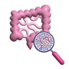 3d render Abstract human intestine and magnifier. Gut microbiome concept. SIBO, leaky gut syndrome...