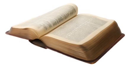 LexiSync: Comprehensive Digital Dictionary for Instant Definitions and Language Reference isolated on white, transparent background, hand-edited generative AI