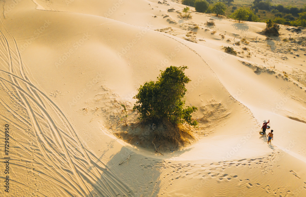 Wall mural aerial view of a peasant woman carries a bamboo frame on the shoulder across sand dunes in ninh thua