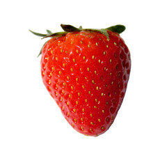 strawberry isolated on white background