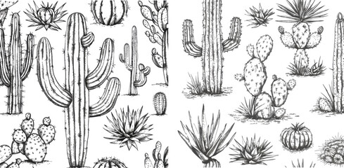 Desert or drought plants, botanical horizontal seamless pattern engraving vector illustration - obrazy, fototapety, plakaty