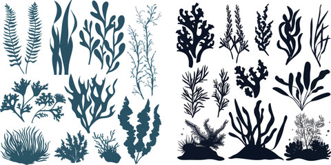 Aquarium seaweed silhouette - obrazy, fototapety, plakaty