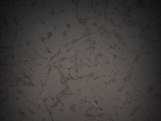 Natural rock with patterns on the surface. Dolomite texture. Solid stone background for design. Shaded texture with dark vignette.