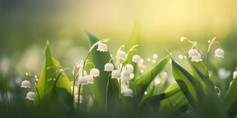 Foto auf Leinwand Spring background with blooming lily of the valley flowers in sunny day in meadow. Beautiful floral background for decoration, banner and greeting card for Birthday, Mother's Day, Women's Day, Wedding © maxa0109