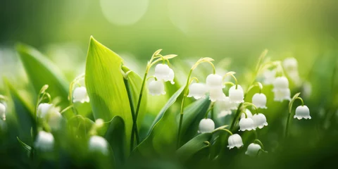 Keuken spatwand met foto Lily of the Valley Flowers (Convallaria majalis). Spring Flowers in grass. Beautiful floral background for decoration, banner and greeting card for Birthday, Mother's Day, Women's Day, Wedding © maxa0109